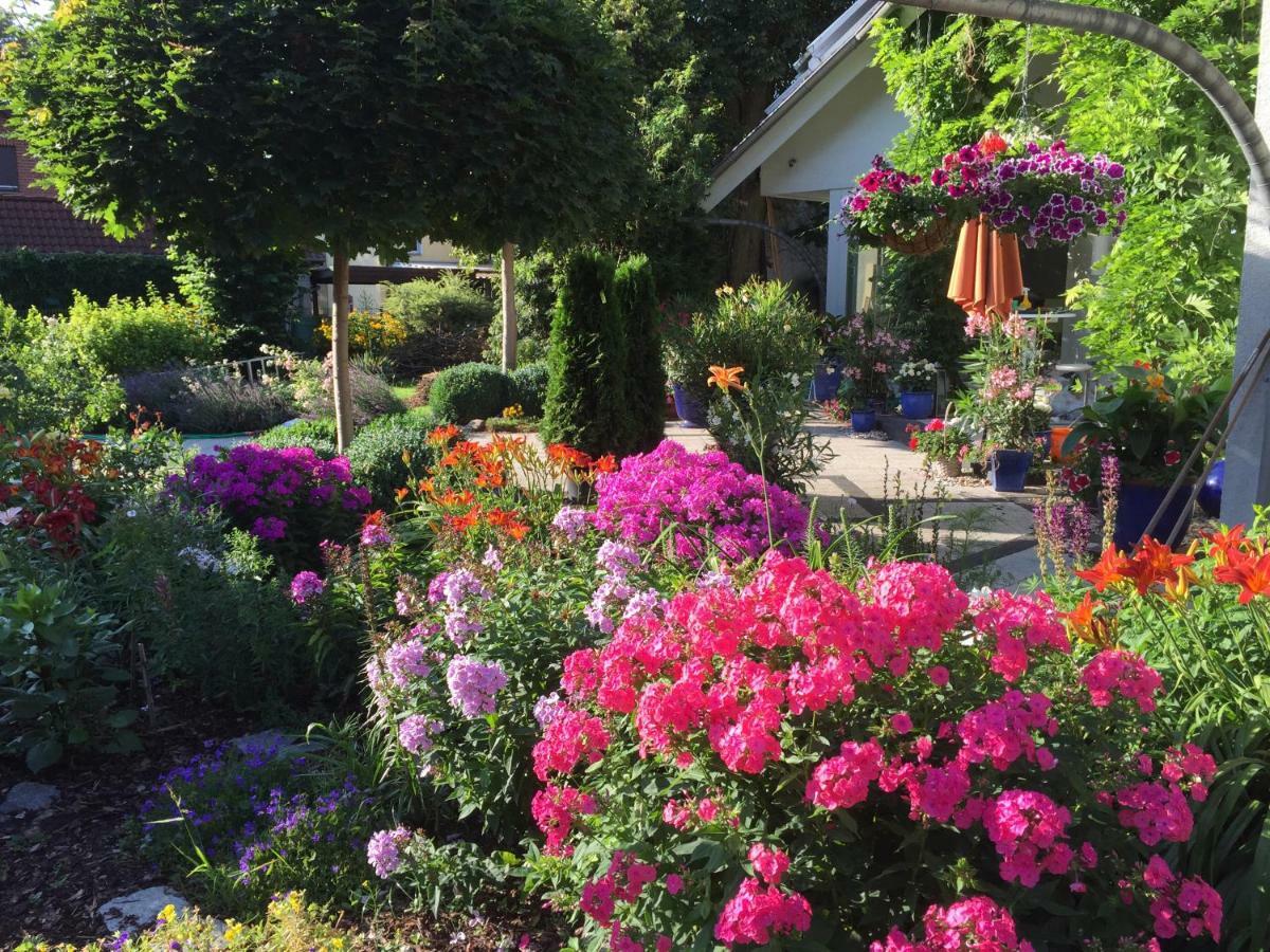 Villa "Auszeit" Hohen Neuendorf Eksteriør bilde